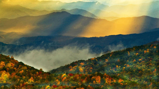 Great Smoky Mountains National Park